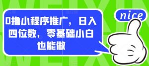 0撸小程序推广，日入四位数，零基础小白也能做【揭秘】-最全资源库