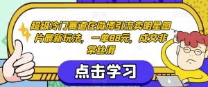 超级冷门赛道在微博引流卖明星图片最新玩法，一单88元，成交非常丝滑【揭秘】-最全资源库
