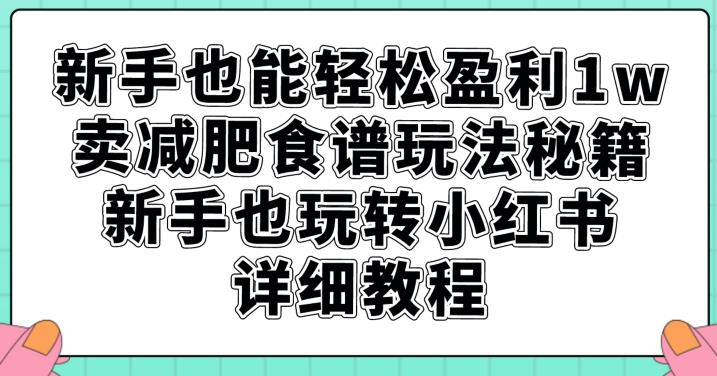 新手也能轻松盈利1w，卖减肥食谱玩法秘籍，新手也玩转小红书详细教程【揭秘】-最全资源库