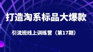 打造淘系标品大爆款引流班线上训练营（第17期）5天直播授课-最全资源库