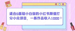 适合0基础小白做的小红书颜值打分小众项目，一条作品收入1000＋【揭秘】-最全资源库