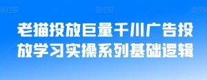 老猫投放巨量千川广告投放学习实操系列基础逻辑-最全资源库