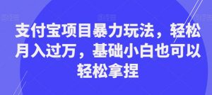 支付宝项目暴力玩法，轻松月入过万，基础小白也可以轻松拿捏【揭秘】-最全资源库