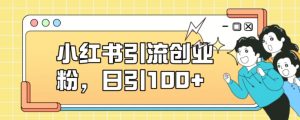 小红书引流创业粉,日引100+【揭秘】-最全资源库