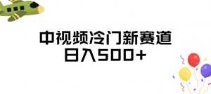中视频冷门新赛道，做的人少，三天之内必起号，日入500+【揭秘】-最全资源库