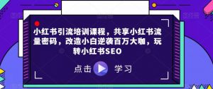 小红书引流培训课程，共享小红书流量密码，改造小白逆袭百万大咖，玩转小红书SEO-最全资源库