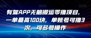 有驾APP无脑搬运零撸项目，一单最高100块，单账号可撸3次，可多号操作【揭秘】-最全资源库