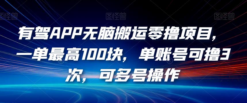 有驾APP无脑搬运零撸项目，一单最高100块，单账号可撸3次，可多号操作【揭秘】-最全资源库
