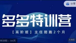 纪主任·多多特训营高阶班【9月13日更新】，拼多多最新玩法技巧落地实操-最全资源库