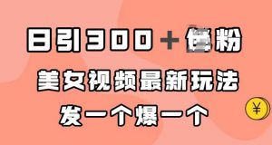 日引300＋男粉，美女视频最新玩法，发一个爆一个【揭秘】-最全资源库