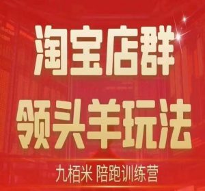 九栢米-淘宝店群领头羊玩法，教你整个淘宝店群领头羊玩法以及精细化/终极蓝海/尾销等内容-最全资源库