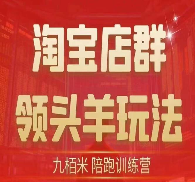 九栢米-淘宝店群领头羊玩法，教你整个淘宝店群领头羊玩法以及精细化/终极蓝海/尾销等内容-最全资源库