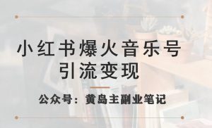 小红书爆火音乐号引流变现项目，视频版一条龙实操玩法分享给你-最全资源库