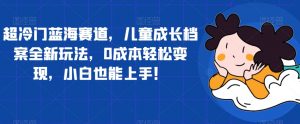 超冷门蓝海赛道，儿童成长档案全新玩法，0成本轻松变现，小白也能上手【揭秘】-最全资源库