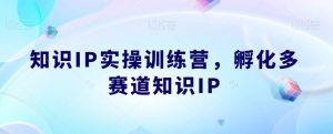 知识IP实操训练营，​孵化多赛道知识IP-最全资源库