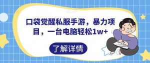 口袋觉醒私服手游，暴力项目，一台电脑轻松1w+【揭秘】-最全资源库