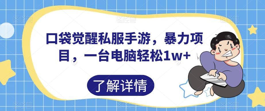 口袋觉醒私服手游，暴力项目，一台电脑轻松1w+【揭秘】-最全资源库
