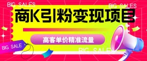 商K引粉变现项目，高客单价精准流量【揭秘】-最全资源库