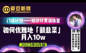 爱豆新媒：如何优雅地「割韭菜」月入10w的秘诀（2023年9月版）-最全资源库
