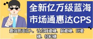 全新亿万级蓝海市场通惠达cps，最强管道收入，让你睡着赚、躺着赚、玩着赚、轻松赚【揭秘】-最全资源库