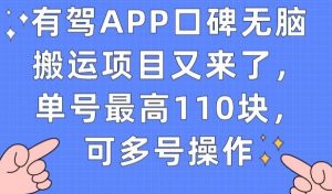 有驾APP口碑无脑搬运项目又来了，单号最高110块，可多号操作-最全资源库