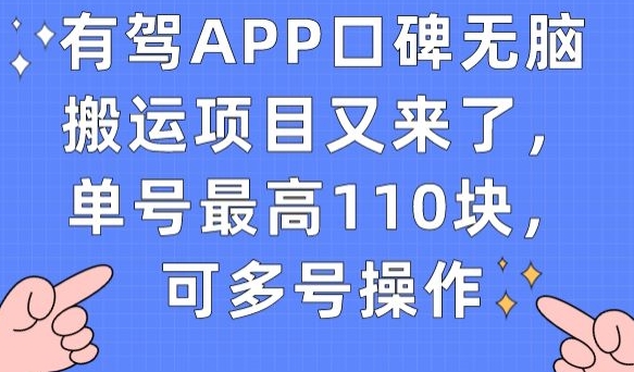有驾APP口碑无脑搬运项目又来了，单号最高110块，可多号操作-最全资源库