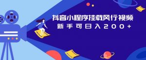 抖音小程序挂载风行视频，新手可日入200+-最全资源库