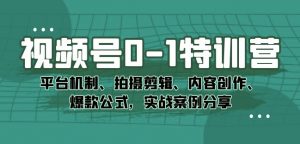 视频号0-1特训营：平台机制、拍摄剪辑、内容创作、爆款公式，实战案例分享-最全资源库