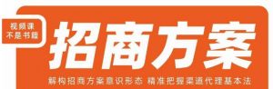 王昕招商方案，解构招商方案意识形态，精准把握渠道代理基本法-最全资源库