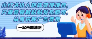 小红书达人矩阵变现项目，只需要复制粘贴发布即可，从而获取广告费用-最全资源库