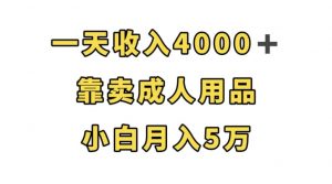 一天收入4000+，靠卖成人用品，小白轻松月入5万【揭秘】-最全资源库