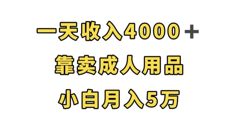 一天收入4000+，靠卖成人用品，小白轻松月入5万【揭秘】-最全资源库