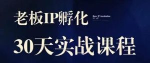 诸葛·2023老板IP实战课，实体同城引流获客，IP孵化必听-最全资源库