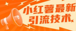 小红书最新引流技术，真正实现解放双手暴力引流-最全资源库