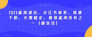 2023蓝海项目,小红书商单,快速千粉,长期稳定,最强蓝海没有之一(新玩法)-最全资源库