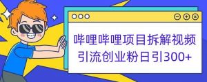 哔哩哔哩项目拆解引流创业粉日引300+小白可轻松上手【揭秘】-最全资源库