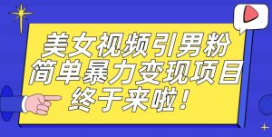 价值3980的男粉暴力引流变现项目，一部手机简单操作，新手小白轻松上手，每日收益500+【揭秘】-最全资源库