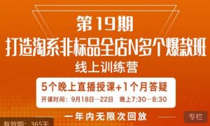打造淘系非标全店N多个爆款线上课，​5天直播课-最全资源库