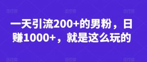 一天引流200+的男粉，日赚1000+，就是这么玩的【揭秘】-最全资源库