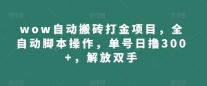 wow自动搬砖打金项目，全自动脚本操作，单号日撸300+，解放双手【揭秘】-最全资源库