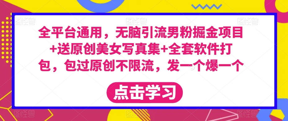 全平台通用，无脑引流男粉掘金项目+送原创美女写真集+全套软件打包，包过原创不限流，发一个爆一个【揭秘】-最全资源库