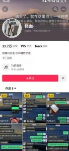 搞笑号新玩法，三种变现方式助你日入500+，一部手机即可操作【揭秘】-最全资源库