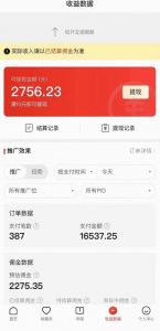 拼多多无人直播不封号玩法，0投入，3天必起，日入1000+-最全资源库
