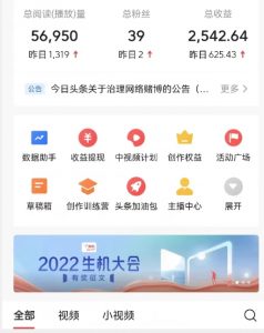 全新蓝海，西瓜视频流量掘金项目，简单上手适合0基础小白，暴力玩法日入500＋【揭秘】-最全资源库