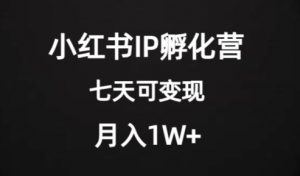 价值2000+的小红书IP孵化营项目,超级大蓝海,七天即可开始变现,稳定月入1W+-最全资源库