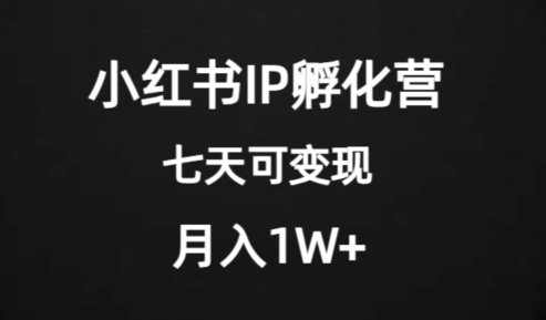 价值2000+的小红书IP孵化营项目,超级大蓝海,七天即可开始变现,稳定月入1W+-最全资源库