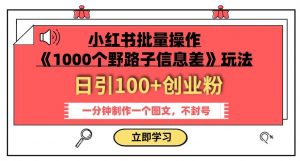 小红书批量操作《1000个野路子信息差》玩法，一分钟制作一个图文，不封号，日引100+创业粉-最全资源库