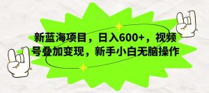 新蓝海项目，日入600+，视频号叠加变现，新手小白无脑操作【揭秘】-最全资源库
