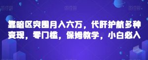 靠暗区突围月入六万,代肝护航多种变现,零门槛,保姆教学,小白必入【揭秘】-最全资源库