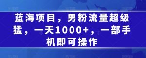 蓝海项目，男粉流量超级猛，一天1000+，一部手机即可操作【揭秘】-最全资源库